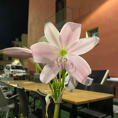 Restaurant & Rooms Cabrit Sant Mateu Ngoại thất bức ảnh
