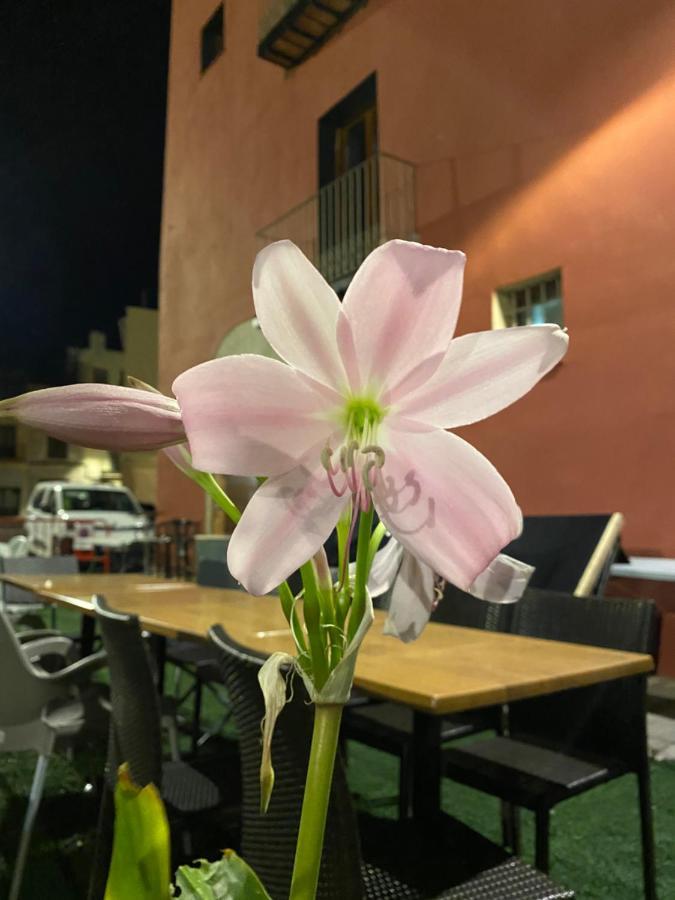 Restaurant & Rooms Cabrit Sant Mateu Ngoại thất bức ảnh