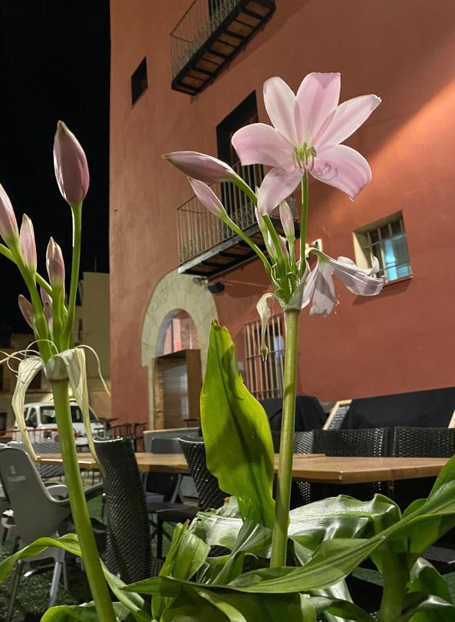 Restaurant & Rooms Cabrit Sant Mateu Ngoại thất bức ảnh